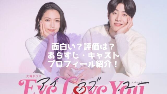 日韓ドラマ　eyeloveyou 面白い　あらすじ　キャスト　プロフィール