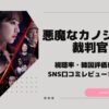 悪魔なカノジョは裁判官　視聴率　一覧　評価　