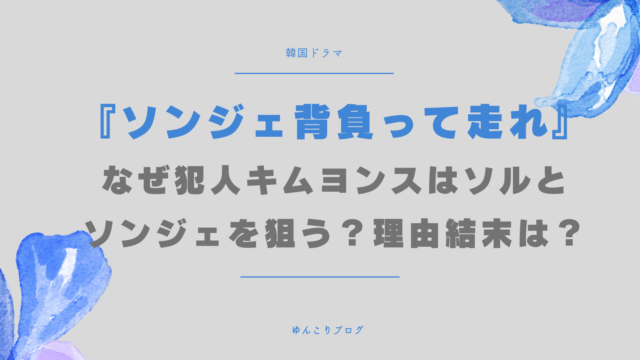 ソンジェ背負って走れなぜ　犯人　キムヨンス　ソル　ソンジェ　狙う　理由　結末は　
